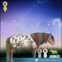 Horse Color:Painted Brown Near Leopard and Amber Champagne Blanket
