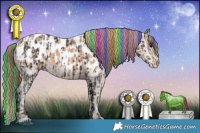 Horse Color:Painted Brown Appaloosa and Amber Champagne Appaloosa