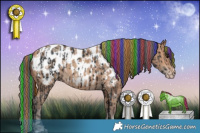 Horse Color:Painted Brown Appaloosa  and Amber Champagne Appaloosa 