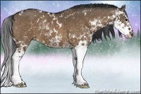 Horse Color:Brown Dun Sabino Splash Brindle 