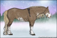 Horse Color:Liver Red Dun Sabino Splash Rabicano