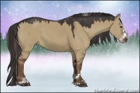 Horse Color:Liver Red Dun Sabino Splash 