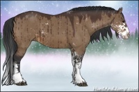 Horse Color:Brown Dun Sabino Splash 