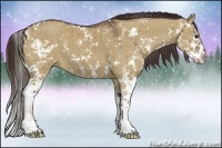 Horse Color:Liver Red Dun Sabino Brindle