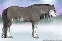 Horse Color:Grullo Sabino Brindle 