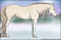 Horse Color:Perlino Sabino and Perlino Sabino