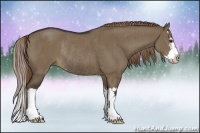 Horse Color:Liver Red Dun Sabino Splash Rabicano Brindle