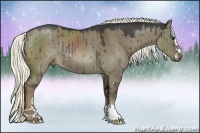 Horse Color:Liver Red Dun Sabino Rabicano