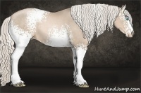 Horse Color:White Spotted Chocolate Palomino Pearl Rabicano 