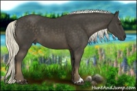 Horse Color:Liver Chestnut Sabino