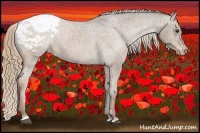 Horse Color:Liver Chestnut Sabino Appaloosa 