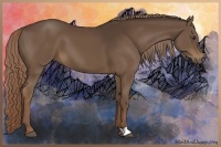 Horse Color:Liver Chestnut 