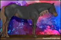 Horse Color:Liver Chestnut Rabicano 