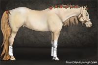 Horse Color:Gold Champagne Pearl