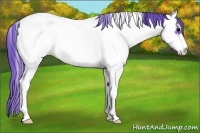 Horse Color:Watercolor Brown Onyx Sabino Appaloosa 