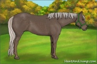 Horse Color:Silver Black 