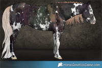 Horse Color:White Spotted Chocolate Palomino Ice Pearl Onyx Sabino Splash and White Spotted Liver Chestnut Ice Sabino Splash