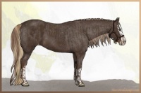 Horse Color:Liver Chestnut Sabino and Liver Chestnut Sabino Splash Appaloosa