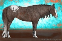Horse Color:Bay Sabino Splash Appaloosa  and Liver Chestnut Sabino Splash Appaloosa 