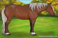 Horse Color:Silver Brown 