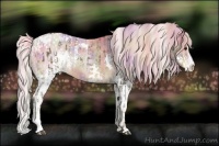 Horse Color:White Spotted Liver Chestnut Sabino Splash Appaloosa  and Nacre Watercolor White Spotted Liver Chestnut Pearl Sabino Splash 