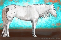 Horse Color:Liver Chestnut Sabino Splash Appaloosa  and Liver Chestnut Sabino Splash Appaloosa 