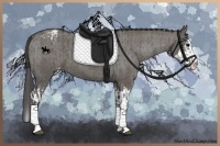 Horse Color:Grullo Sabino Splash Appaloosa  and Grullo Sabino Splash Appaloosa 