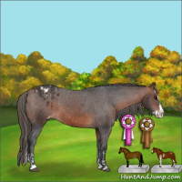 Horse Color:Bay Sabino Splash Appaloosa  and Bay Sabino Splash Appaloosa Rabicano 