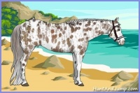Horse Color:Liver Chestnut Sabino Splash Varnish  and Liver Chestnut Near Leopard 