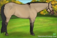 Horse Color:Brown Dun