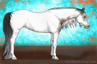 Horse Color:Bay Dun Tobiano Frame Appaloosa 