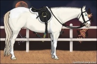 Horse Color:Perlino Dun Tobiano 