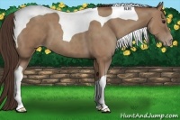 Horse Color:Classic Champagne Tobiano 