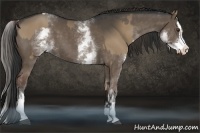 Horse Color:White Spotted Liver Red Dun Sabino  and White Spotted Liver Red Dun Sabino Splash 
