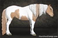 Horse Color:Chestnut Pearl Tobiano