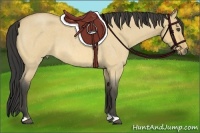 Horse Color:Buckskin Roan Dun