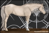 Horse Color:Chocolate Palomino Pearl