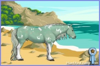 Horse Color:Watercolor White Spotted Silver Buckskin Tobiano