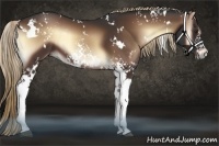 Horse Color:White Spotted Liver Red Onyx 