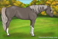 Horse Color:Silver Black 