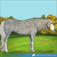 Horse Color:White Spotted Silver Black Ice 