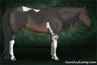 Horse Color:Buckskin Tobiano