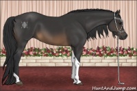 Horse Color:Buckskin Tobiano 