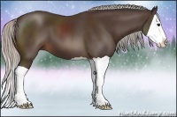 Horse Color:Silver Brown Splash