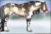 Horse Color:White Spotted Brown Onyx 