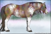 Horse Color:Nacre White Spotted Brown Sabino Rabicano
