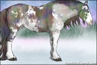 Horse Color:Nacre Smoky Black Sabino Rabicano