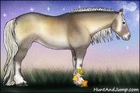 Horse Color:Liver Red Onyx Rabicano