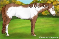 Horse Color:Chestnut Frame