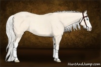 Horse Color:Cremello Splash  and Cremello Splash 